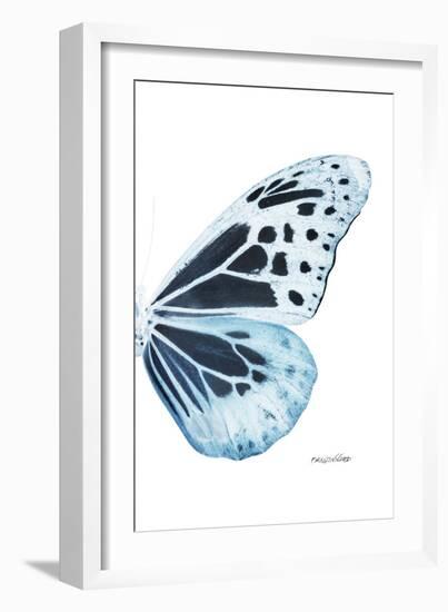 Miss Butterfly Melaneus - X-Ray Right White Edition-Philippe Hugonnard-Framed Photographic Print