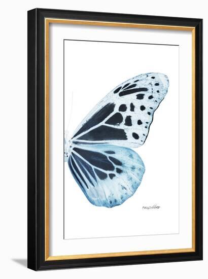Miss Butterfly Melaneus - X-Ray Right White Edition-Philippe Hugonnard-Framed Photographic Print