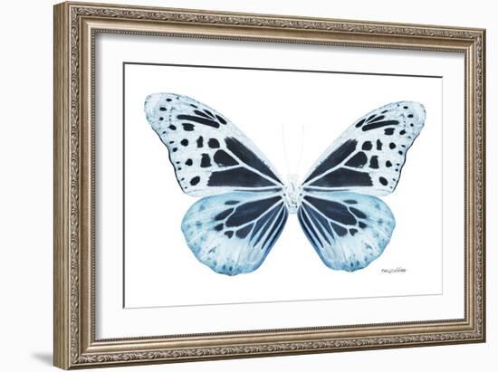 Miss Butterfly Melaneus - X-Ray White Edition-Philippe Hugonnard-Framed Photographic Print