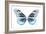 Miss Butterfly Melaneus - X-Ray White Edition-Philippe Hugonnard-Framed Photographic Print