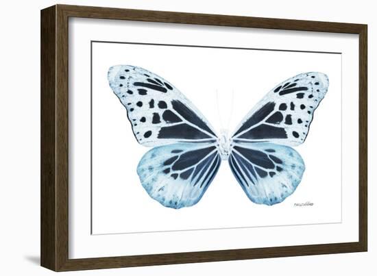 Miss Butterfly Melaneus - X-Ray White Edition-Philippe Hugonnard-Framed Photographic Print