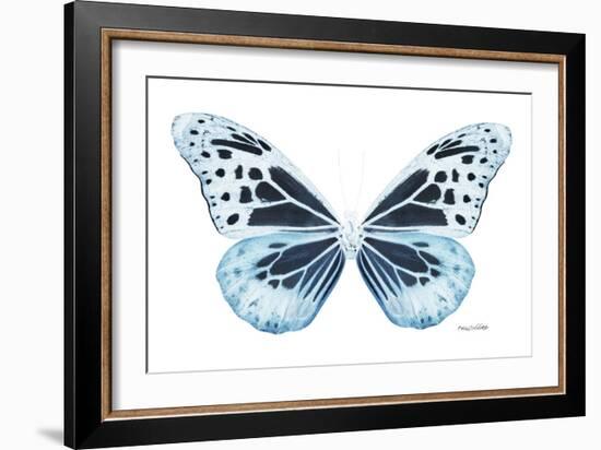 Miss Butterfly Melaneus - X-Ray White Edition-Philippe Hugonnard-Framed Photographic Print