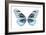 Miss Butterfly Melaneus - X-Ray White Edition-Philippe Hugonnard-Framed Photographic Print