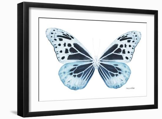 Miss Butterfly Melaneus - X-Ray White Edition-Philippe Hugonnard-Framed Photographic Print