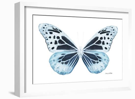 Miss Butterfly Melaneus - X-Ray White Edition-Philippe Hugonnard-Framed Photographic Print