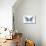 Miss Butterfly Melaneus - X-Ray White Edition-Philippe Hugonnard-Mounted Photographic Print displayed on a wall