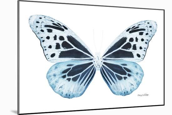 Miss Butterfly Melaneus - X-Ray White Edition-Philippe Hugonnard-Mounted Photographic Print