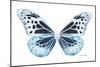 Miss Butterfly Melaneus - X-Ray White Edition-Philippe Hugonnard-Mounted Photographic Print