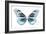 Miss Butterfly Melaneus - X-Ray White Edition-Philippe Hugonnard-Framed Photographic Print