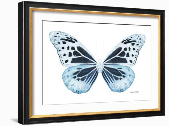 Miss Butterfly Melaneus - X-Ray White Edition-Philippe Hugonnard-Framed Photographic Print