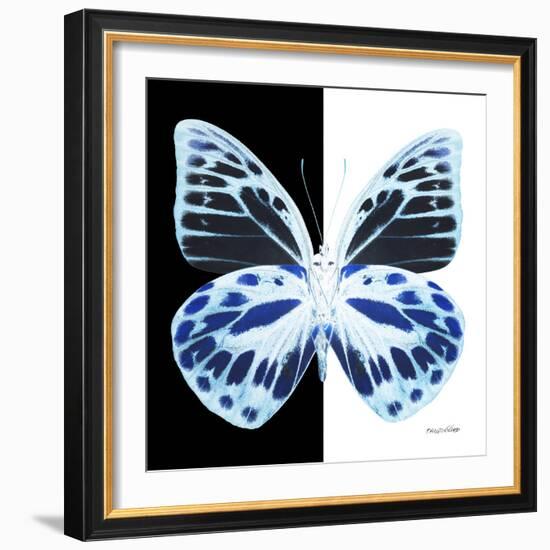 Miss Butterfly Prioneris Sq - X-Ray B&W Edition-Philippe Hugonnard-Framed Photographic Print