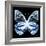 Miss Butterfly Prioneris Sq - X-Ray Black Edition-Philippe Hugonnard-Framed Photographic Print