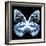 Miss Butterfly Prioneris Sq - X-Ray Black Edition-Philippe Hugonnard-Framed Photographic Print