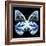 Miss Butterfly Prioneris Sq - X-Ray Black Edition-Philippe Hugonnard-Framed Photographic Print