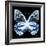 Miss Butterfly Prioneris Sq - X-Ray Black Edition-Philippe Hugonnard-Framed Photographic Print