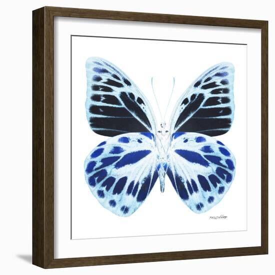 Miss Butterfly Prioneris Sq - X-Ray White Edition-Philippe Hugonnard-Framed Photographic Print