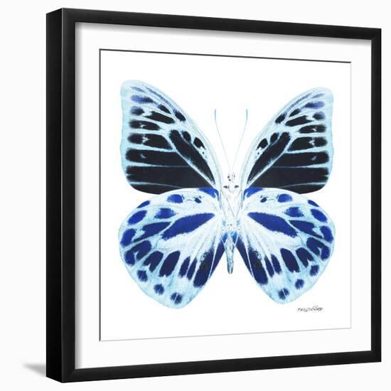 Miss Butterfly Prioneris Sq - X-Ray White Edition-Philippe Hugonnard-Framed Photographic Print