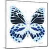 Miss Butterfly Prioneris Sq - X-Ray White Edition-Philippe Hugonnard-Mounted Photographic Print