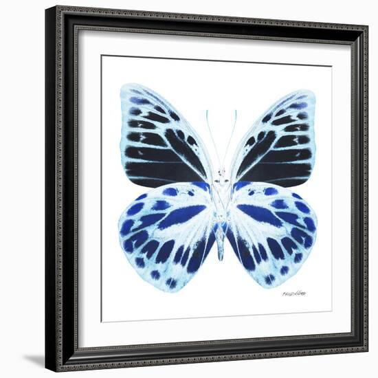 Miss Butterfly Prioneris Sq - X-Ray White Edition-Philippe Hugonnard-Framed Photographic Print