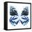 Miss Butterfly Prioneris Sq - X-Ray White Edition-Philippe Hugonnard-Framed Stretched Canvas