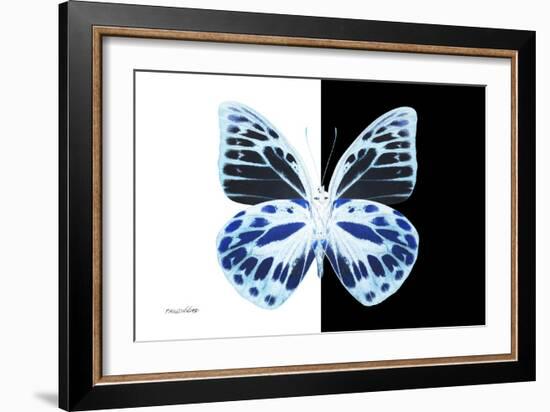 Miss Butterfly Prioneris - X-Ray B&W Edition-Philippe Hugonnard-Framed Photographic Print