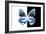 Miss Butterfly Prioneris - X-Ray B&W Edition-Philippe Hugonnard-Framed Photographic Print