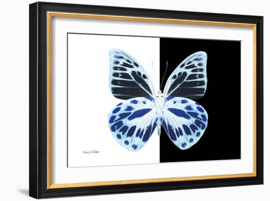 Miss Butterfly Prioneris - X-Ray B&W Edition-Philippe Hugonnard-Framed Photographic Print