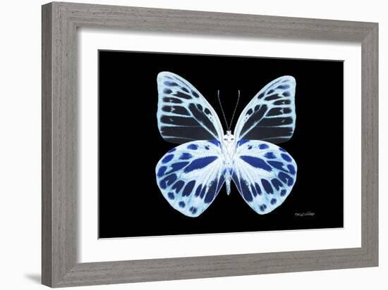 Miss Butterfly Prioneris - X-Ray Black Edition-Philippe Hugonnard-Framed Photographic Print