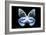 Miss Butterfly Prioneris - X-Ray Black Edition-Philippe Hugonnard-Framed Photographic Print