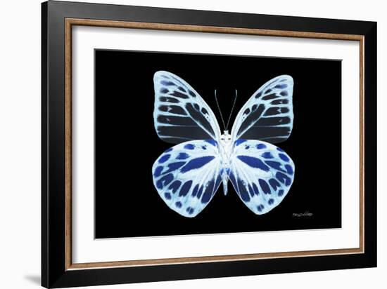 Miss Butterfly Prioneris - X-Ray Black Edition-Philippe Hugonnard-Framed Photographic Print