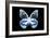 Miss Butterfly Prioneris - X-Ray Black Edition-Philippe Hugonnard-Framed Photographic Print