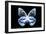 Miss Butterfly Prioneris - X-Ray Black Edition-Philippe Hugonnard-Framed Photographic Print