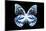 Miss Butterfly Prioneris - X-Ray Black Edition-Philippe Hugonnard-Mounted Photographic Print