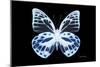 Miss Butterfly Prioneris - X-Ray Black Edition-Philippe Hugonnard-Mounted Premium Photographic Print