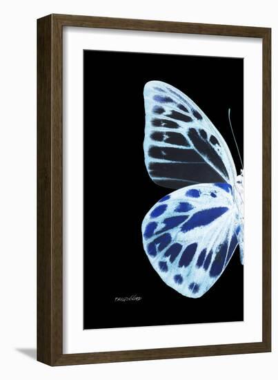 Miss Butterfly Prioneris - X-Ray Left Black Edition-Philippe Hugonnard-Framed Photographic Print