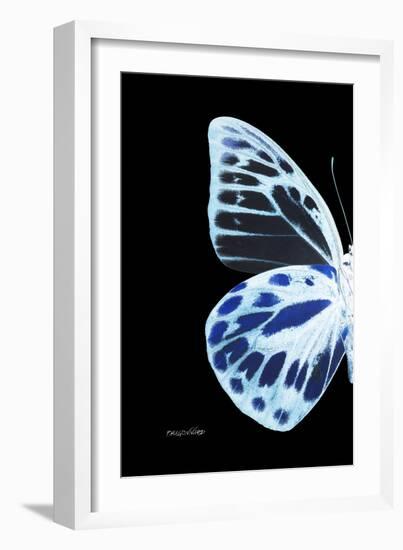 Miss Butterfly Prioneris - X-Ray Left Black Edition-Philippe Hugonnard-Framed Photographic Print