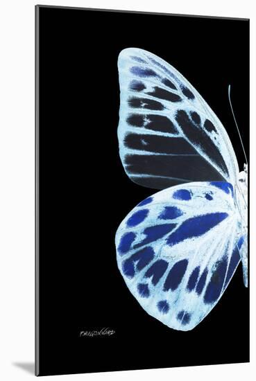 Miss Butterfly Prioneris - X-Ray Left Black Edition-Philippe Hugonnard-Mounted Photographic Print