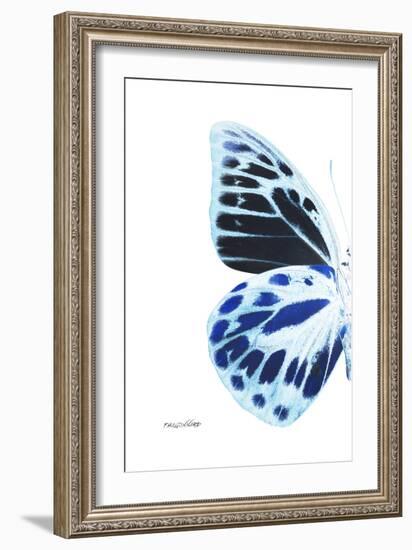 Miss Butterfly Prioneris - X-Ray Left White Edition-Philippe Hugonnard-Framed Photographic Print