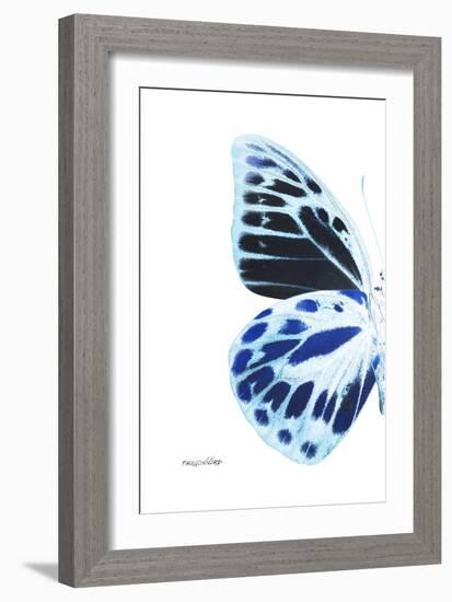 Miss Butterfly Prioneris - X-Ray Left White Edition-Philippe Hugonnard-Framed Photographic Print