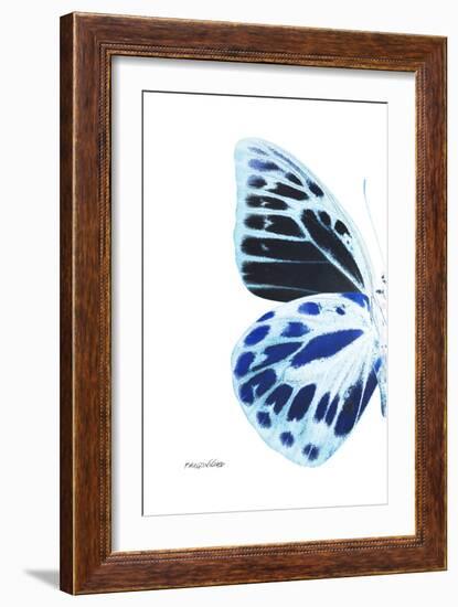 Miss Butterfly Prioneris - X-Ray Left White Edition-Philippe Hugonnard-Framed Photographic Print