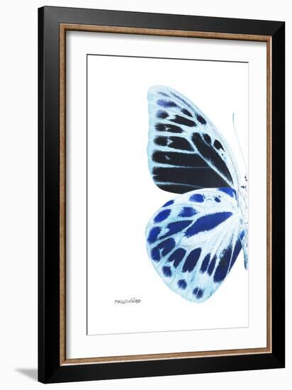 Miss Butterfly Prioneris - X-Ray Left White Edition-Philippe Hugonnard-Framed Photographic Print