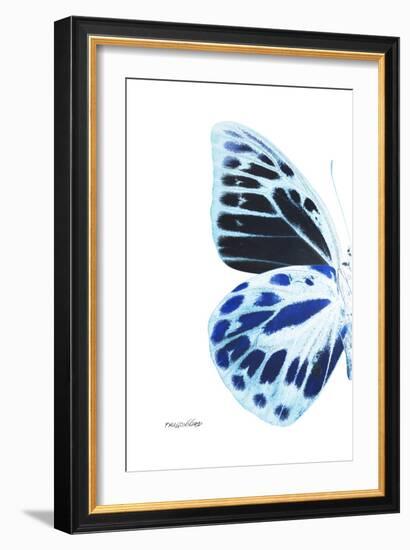 Miss Butterfly Prioneris - X-Ray Left White Edition-Philippe Hugonnard-Framed Photographic Print