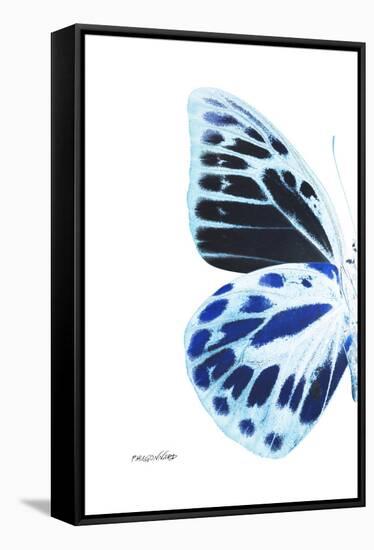 Miss Butterfly Prioneris - X-Ray Left White Edition-Philippe Hugonnard-Framed Stretched Canvas