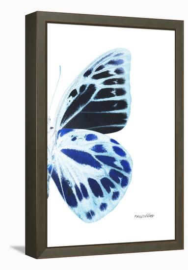 Miss Butterfly Prioneris - X-Ray Right White Edition-Philippe Hugonnard-Framed Premier Image Canvas