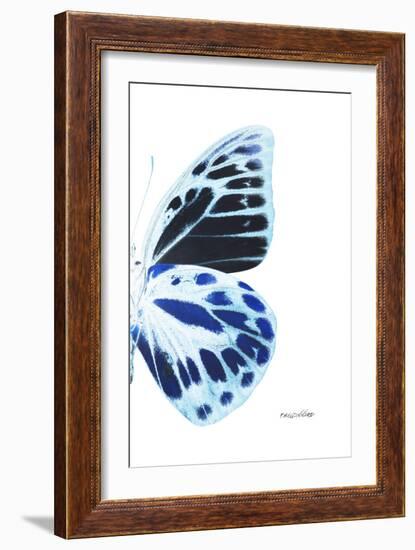 Miss Butterfly Prioneris - X-Ray Right White Edition-Philippe Hugonnard-Framed Premium Photographic Print