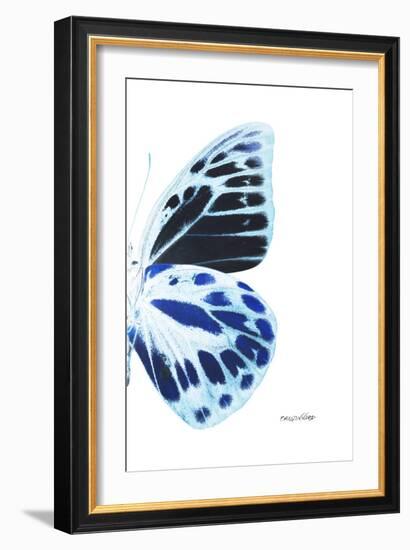 Miss Butterfly Prioneris - X-Ray Right White Edition-Philippe Hugonnard-Framed Premium Photographic Print