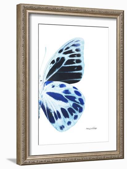 Miss Butterfly Prioneris - X-Ray Right White Edition-Philippe Hugonnard-Framed Photographic Print