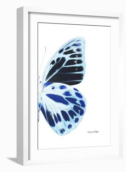 Miss Butterfly Prioneris - X-Ray Right White Edition-Philippe Hugonnard-Framed Photographic Print