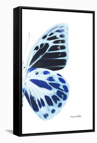 Miss Butterfly Prioneris - X-Ray Right White Edition-Philippe Hugonnard-Framed Stretched Canvas