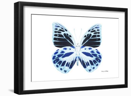 Miss Butterfly Prioneris - X-Ray White Edition-Philippe Hugonnard-Framed Photographic Print